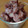 yumelon88's cooksnap of when they made 【犬用】砂肝銀皮のオヤツ.
