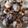 yumelon88's cooksnap of when they made プルーンのようなフルーティ黒にんにく.