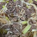 ペロリさとし's cooksnap of when they made 節約！材料2つ！牛肉とたまねぎのすき煮.