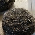 yumihide75's cooksnap of when they made 黒ごまおはぎ.