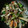 monte's cooksnap of when they made 牛肉と野菜の中華炒め.
