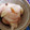 akiiiyh's cooksnap of when they made 新しょうがで【簡単】しょうがの甘酢漬け.
