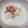 黒豆丸's cooksnap of when they made レンジで簡単◎豆乳湯豆腐風.
