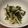 ☆baobab☆'s cooksnap of when they made さっぱり☆新玉ねぎとニラの梅肉おかか和え.