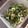 a-bright-future's cooksnap of when they made ✾ほうれん草とちくわのバター炒め.