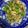 あるぺんちゃん's cooksnap of when they made 豆苗と舞茸のにんにくバターベーコン炒め.