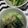 めーさん1127's cooksnap of when they made 簡単！すぐ出来る♪きゅうりの即席浅漬け♪.