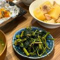 no:no's cooksnap of when they made 空芯菜とにんにくの激ウマ中華炒め.