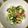 クックZFKRE9☆'s cooksnap of when they made アボカドと大豆ときゅうりのクミンサラダ.