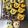 クックN310Y6☆'s cooksnap of when they made HMでワンワンとうーたんのクッキー.