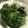 おいしいしんちゃん's cooksnap of when they made ほうれん草のごまあえ.