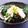 辰夫女子's cooksnap of when they made 間引き大根の塩漬け（自家製）.
