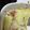 クックSFVLS4☆'s cooksnap of when they made 簡単！煮物リメイク☆筑前煮グラタン.