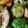 Galão's cooksnap of when they made 温野菜サラダ　濃厚バルサミコソース.
