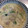 クックXZLXBP☆'s cooksnap of when they made 簡単!レンジで７分☆豚こま茶碗蒸し♪.