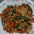 ＊elfin＊'s cooksnap of when they made 人参とピーマンと豚の炒め物/青椒肉絲風.