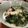 低カロ探検隊's cooksnap of when they made ホウレン草嫌いな子どもが喜ぶクリーム煮♪.