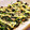 yuki★haru's cooksnap of when they made ほうれん草のツナマヨ焼き.