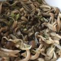 クック78R779☆'s cooksnap of when they made レンジで簡単☆ガリバタ舞茸しめじ.