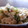 クニカニ's cooksnap of when they made うちの定番★梅マヨ๑ポテサラ♪.