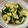 knoflook's cooksnap of when they made レンジで煮びたし風ズッキーニ.