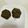クックMVXCM0☆'s cooksnap of when they made 黒胡麻ときな粉クリームのフィナンシェ.
