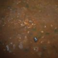 こよんた's cooksnap of when they made すぐできる！　カレー♪.