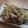 きらり流れ星's cooksnap of when they made キャベツと豚肉のポン酢炒め.