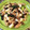 tikariri's cooksnap of when they made 青梗菜とシーフードミックスの中華風炒め.