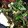 クックTTMYCD☆'s cooksnap of when they made ちょっとだけ欲しい蒲焼のタレ★.