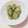 まあまま☆0403's cooksnap of when they made ちくわとチーズの磯部揚げ♪.