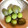 クック1IPG6X☆'s cooksnap of when they made オリーブの実の処理方法♪（塩漬け保存）.