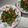 watership's cooksnap of when they made 厚揚げのごま味噌炒め.