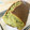 塩田ロシオ's cooksnap of when they made マルグリット型で♡しっとり濃厚抹茶ケーキ.