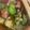 クックWUVBAG☆'s cooksnap of when they made 簡単！ナスのフレッシュバジル炒め.