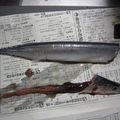 たなか家's cooksnap of when they made 簡単！早い！きれい！秋刀魚の内臓のとり方.