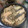 クックVRN5XA☆'s cooksnap of when they made 秋鮭の炊き込みご飯.