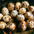クック0LW7EG☆'s cooksnap of when they made 殻ごと☆うずら卵の焼き鳥風甘辛炒め.
