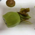 KAORU4649's cooksnap of when they made キウイ☆ピーラーで簡単な皮のむき方.