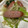 Halü★mama's cooksnap of when they made 小松菜ともやしとウィンナーの野菜炒め.