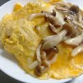 ひんべえ's cooksnap of when they made キノコあんかけ☆和風オムライス.