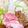 ゆづキッチン's cooksnap of when they made ｡ஐஃ肉味噌で簡単☆濃厚豆乳担々鍋｡ஐஃ.