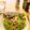 クックJXRA8D☆'s cooksnap of when they made きのこのクリームフェトチーネ.