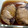 向日葵くっく's cooksnap of when they made 中まで染み込む＊柔らか＊ブリの煮付け.