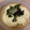 ピーナッツ子♪'s cooksnap of when they made 簡単すぎる♪シンプルとろろごはん.