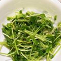 クックYP5QLM☆'s cooksnap of when they made レンジで簡単！さっぱり豆苗のゴマポン和え.