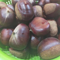 bosabossa's cooksnap of when they made 甘み増す♪熟成栗の作り方（保存方法）.