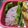 瑛斗くんママ's cooksnap of when they made イモ?!なおにぎり弁当.