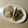 linhua's cooksnap of when they made 色々野菜のごま和え.