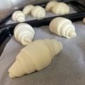 yappyパクパク's cooksnap of when they made ★理想の塩パン★.